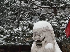 -颐和园