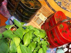 -皇承御点·八旗饽饽铺(避暑山庄店)