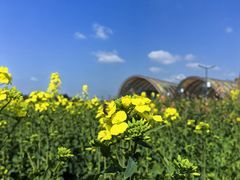 -中国天府农业博览园