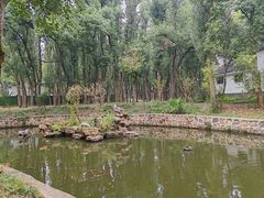 -东湖落雁景区
