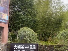 -恩施大峡谷