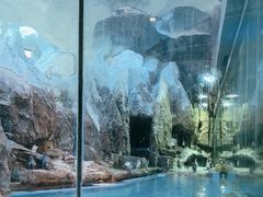 -帝企鹅自助餐厅•儿童岛•真企鹅(长隆企鹅酒店)