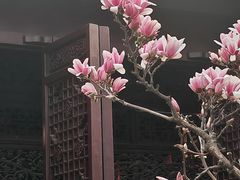 -耦园