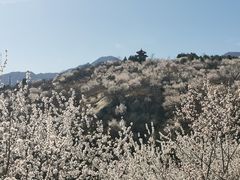 -白水寺森林公园