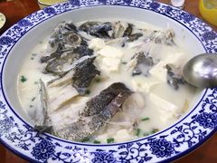千岛湖浓汤鱼头-全乐鱼馆·淳牌有机鱼直营店