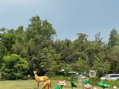 -泗洪洪泽湖湿地景区