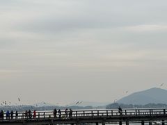 -蠡湖大桥公园