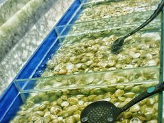 -火锅岛潮牌自助餐厅(天津天佑城店)