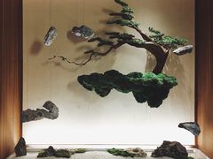 -揽季锅物会.福建黄鱼.海鲜姿造(五四路店)