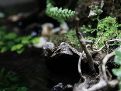 -Together·泰式按摩精油SPA(天山店)