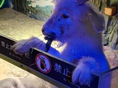 -绿色星球动物主题公园