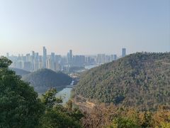 -桃花岭景区