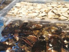 -深圳福田香格里拉大酒店