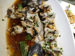-顺风海鲜港(长寿路店)