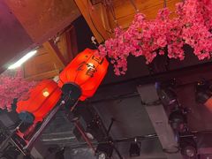 -喜鹊音乐酒馆(西街店)