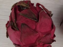 -果多美(三里河店)