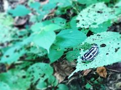 -敬亭山风景名胜区