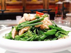 橄榄油丝瓜尖-北平楼·烤鸭·北京菜(牡丹园店)