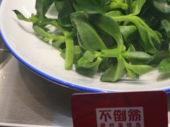 炝拌田七-不倒翁·安徽名菜楼(步行街店)
