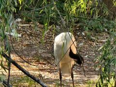 -石家庄市动物园