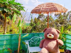 -西双版纳傣族园