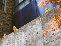 -苏州本色美术馆