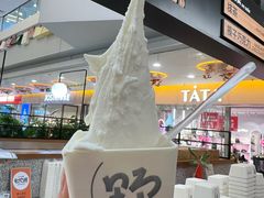 -野人先生Gelato(上海长宁龙之梦店)