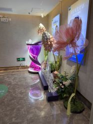 -深圳鹏爱秀琪医疗美容医院