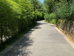 -都江堰中华大熊猫苑