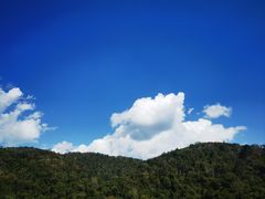 -野象谷景区