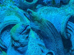 -太平洋海底世界