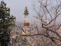 -颐和园