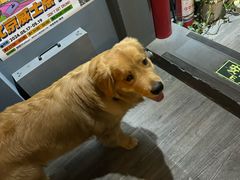-后院儿·精酿·塔罗Happy Bar
