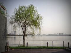 -艾溪湖湿地公园