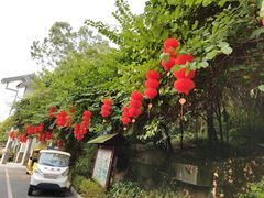 -三门江国家森林公园