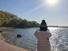 -丁香湖公园