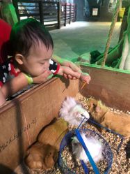 -酷嗒动物文化乐园(cutezoo西溪乐天城店)