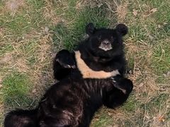 -动物园(地铁站)