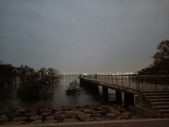 -宝安西湾红树林湿地公园