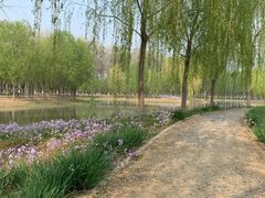 -东郊湿地公园