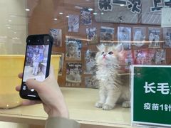 -宁波鄞州万达广场