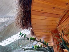 -南宫五洲植物乐园