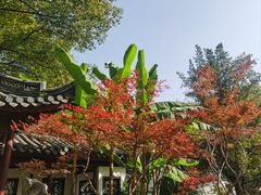 -汇龙潭