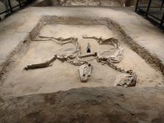 -洛阳周王城天子驾六博物馆