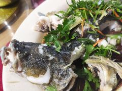 -水上人家河鲜