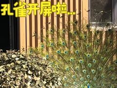 -太原动物园