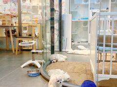 -萌兽医馆·眼科·异宠专科(三里屯店)