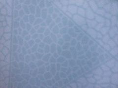 -可莎蜜兒(金沙学府店)