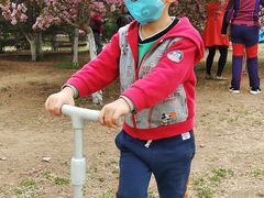 -长白岛森林公园