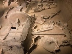 -洛阳周王城天子驾六博物馆